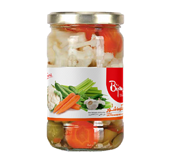 بیژن شور مخلوط شیشه 670گرم